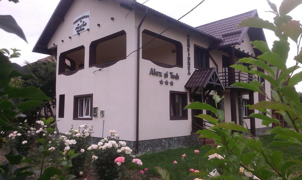 Pensiunea Alex Si Tedi Horezu Camera foto