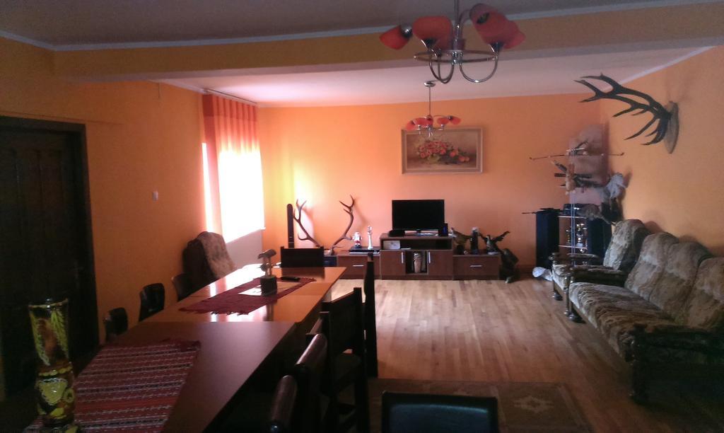 Pensiunea Alex Si Tedi Horezu Esterno foto