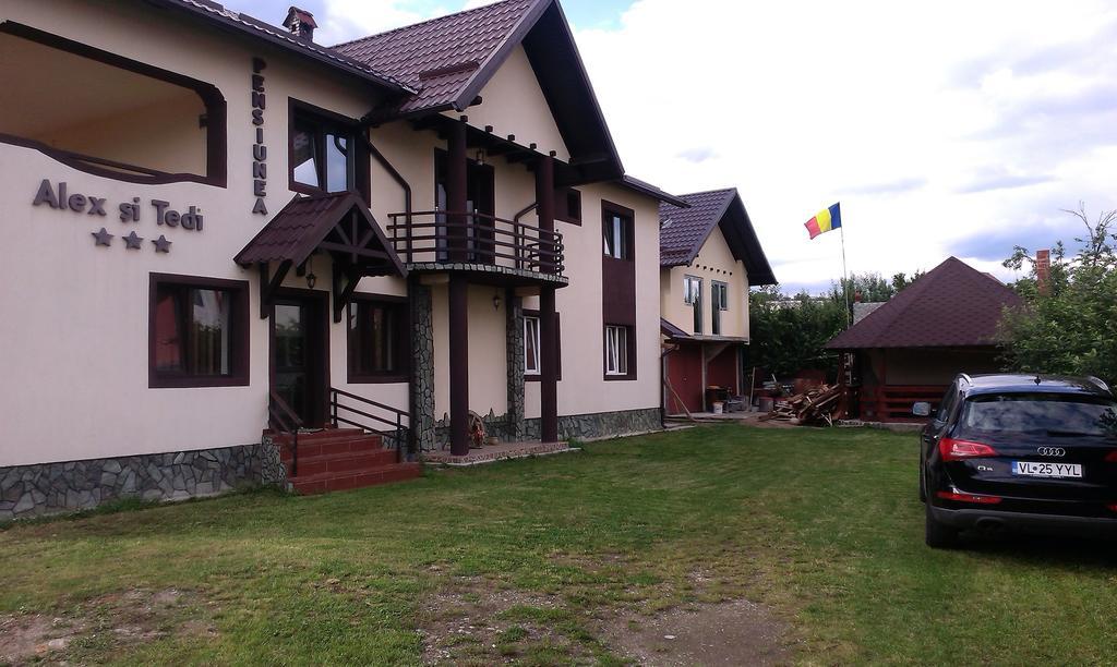Pensiunea Alex Si Tedi Horezu Esterno foto