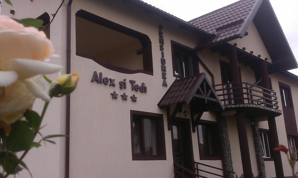 Pensiunea Alex Si Tedi Horezu Esterno foto